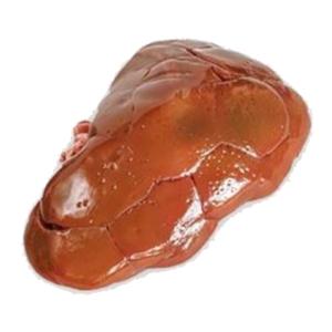 Pet Food - Grass-fed Bison Kidney, approx. 1.3 lbs. (3-kidney minimum)