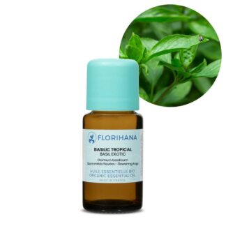 Basil Exotic Essential Oil – 15g