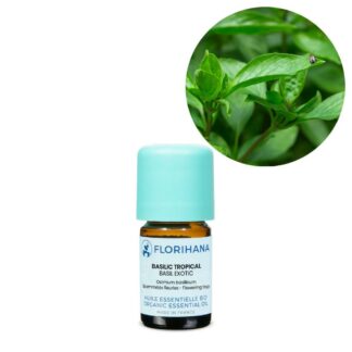 Basil Exotic Essential Oil – 5g