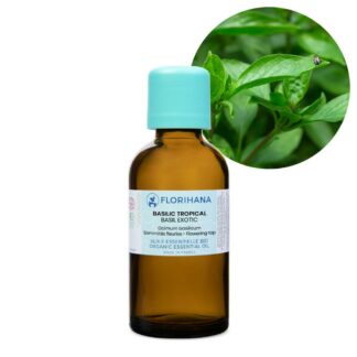 Basil Exotic Essential Oil – 50g