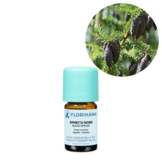 Black Spruce Essential Oil - 5g