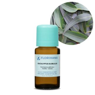 Eucalyptus Globulus Essential Oil – 50g