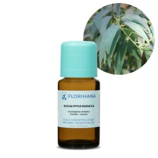 Eucalyptus Radiata Essential Oil - 15g