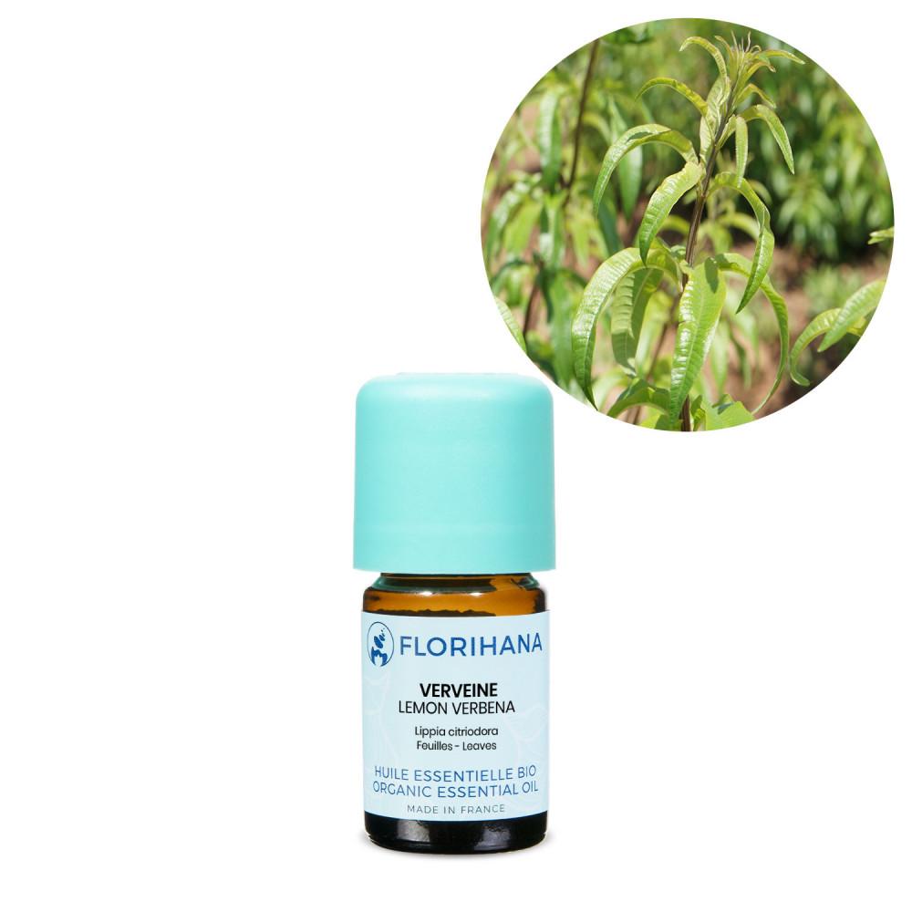 Lemon Verbena Essential Oil - 2g